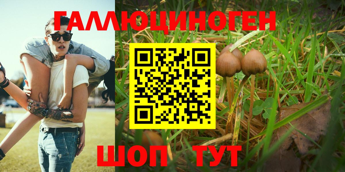 Галлюциногенные грибы MAGIC MUSHROOMS  Вход с VPN  Черногорск  Галлюциногенные грибы прущие грибы 